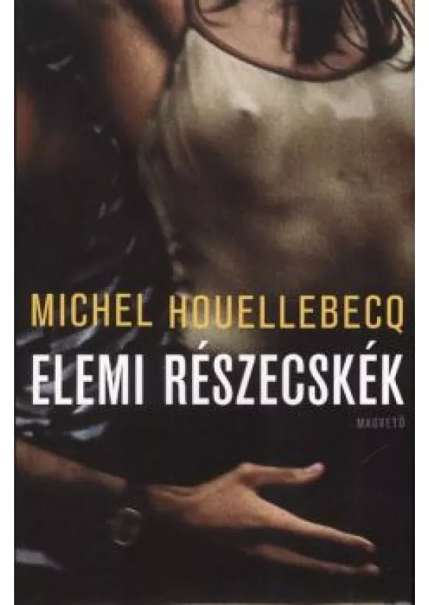 Michel Houellebecq - Elemi részecskék