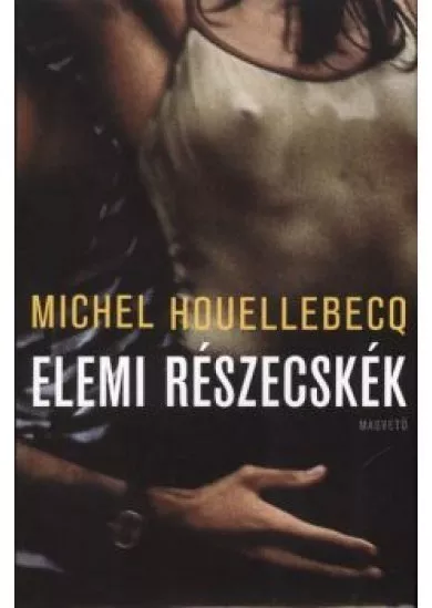 Elemi részecskék