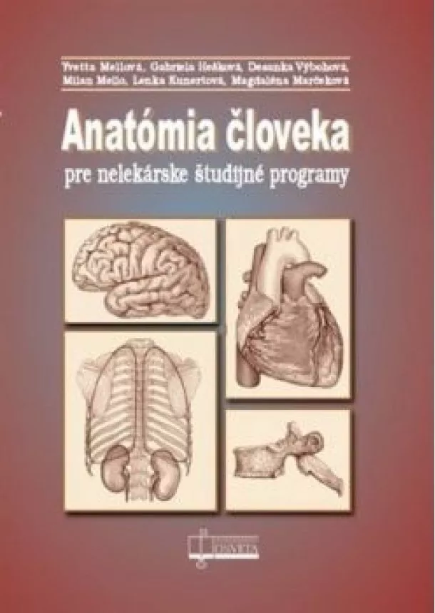 kol. - Anatómia človeka pre nelekárske študijné programy