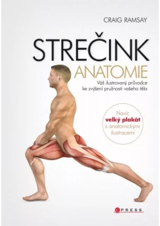 Craig Ramsay - Strečink - anatomie