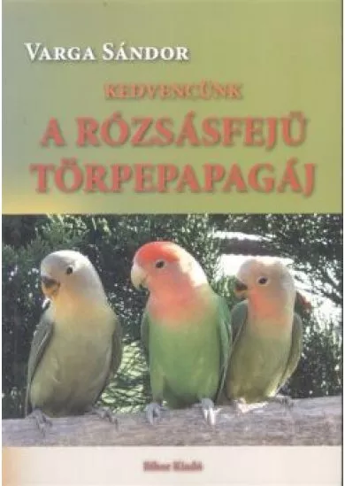 KEDVENCÜNK A RÓZSÁSFEJŰ TÖRPEPAPAGÁJ