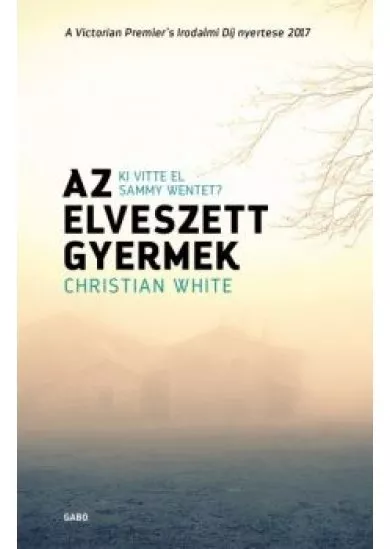 Az elveszett gyermek