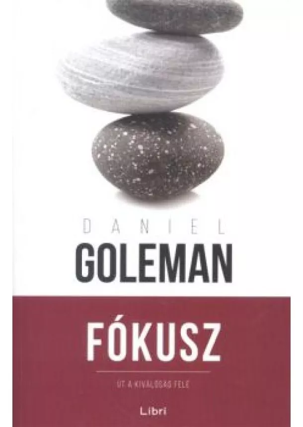 Daniel Goleman - Fókusz /Út a kiválóság felé