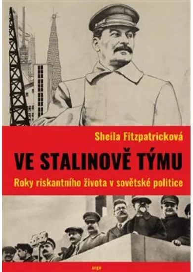 Ve Stalinově týmu - Roky riskantního života v sovětské politice