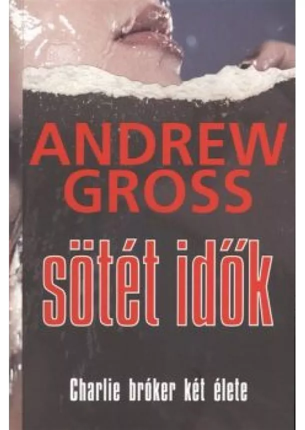 ANDREW GROSS - SÖTÉT IDŐK