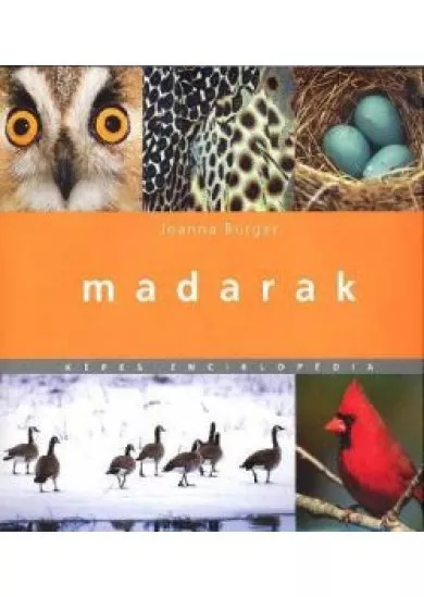 MADARAK