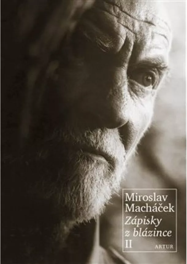 Miroslav Macháček - Zápisky z blázince II