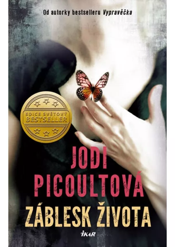 Jodi Picoultová - Záblesk života