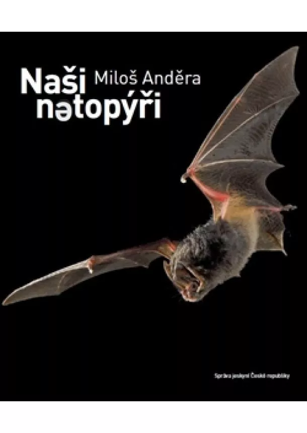 Miloš Anděra - Naši netopýři