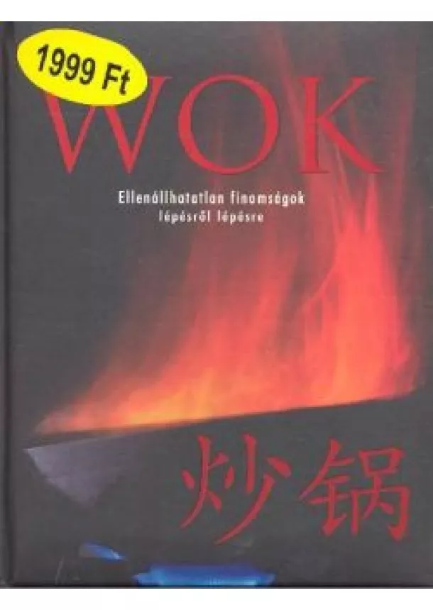 RECEPTGYŰJTEMÉNY - WOK