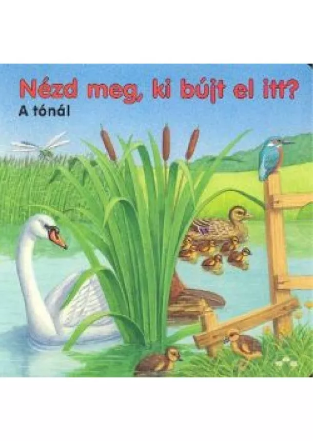 LAPOZÓ - NÉZD MEG, KI BÚJT EL ITT?