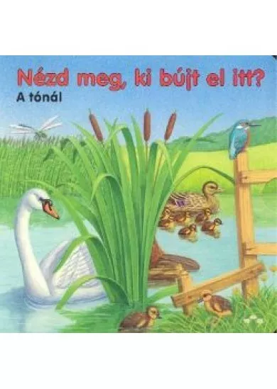 NÉZD MEG, KI BÚJT EL ITT?