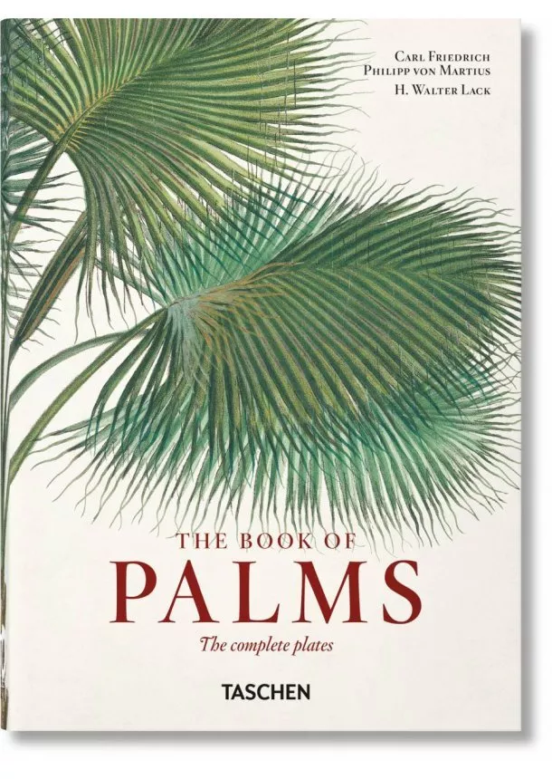 H. Walter Lack - Martius. The Book of Palms. 40th Ed.