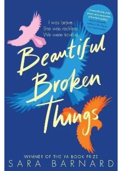 Beautiful Broken Things