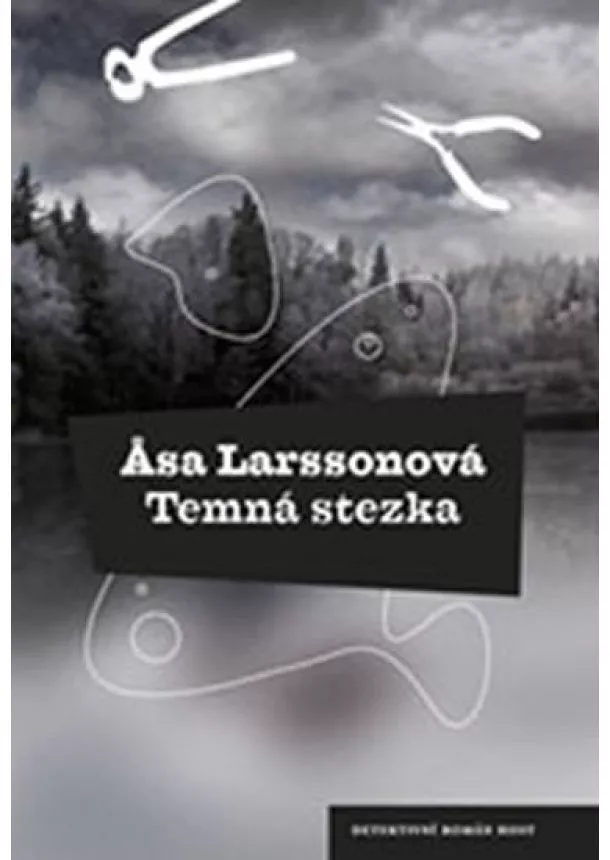 Asa Larssonová - Temná stezka