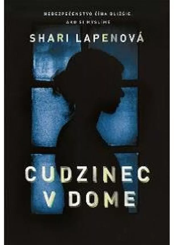 Shari LaPena - Cudzinec v dome