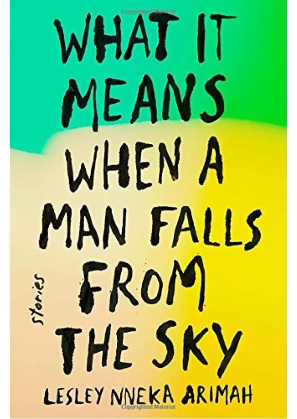 Lesley Nneka Arimah - What It Means When a Man Falls from the Sky