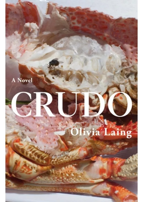 Olivia Laing - Crudo