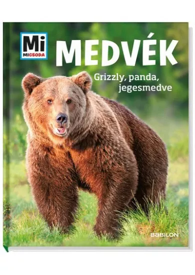 Medvék – Grizzly, panda, jegesmedve  Mi MICSODA