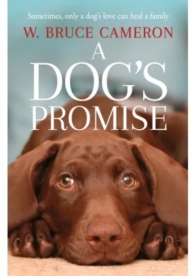 A Dogs Promise