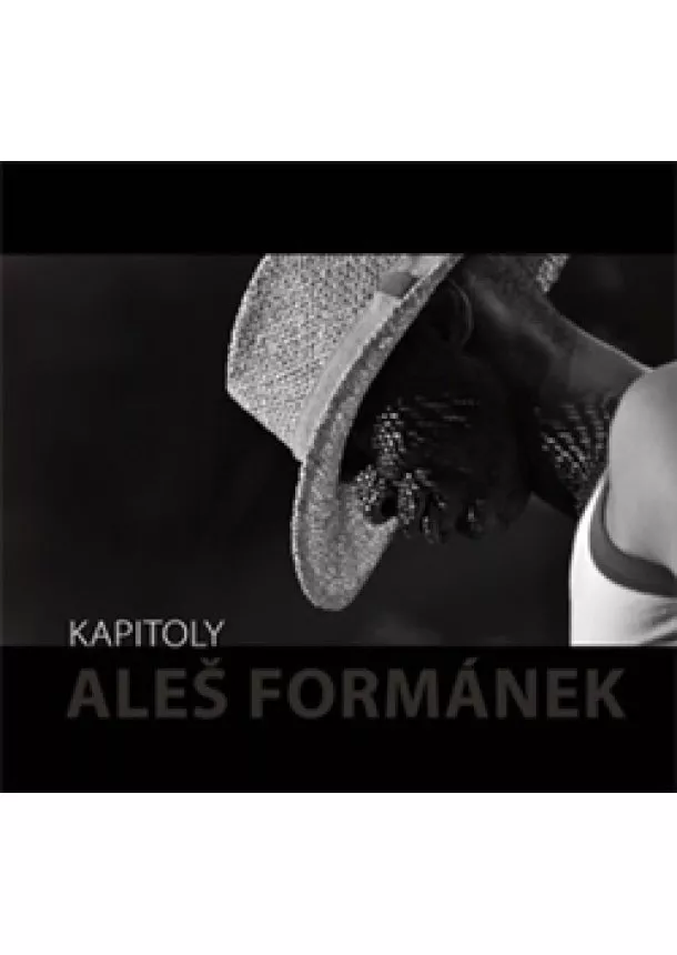 Aleš Formánek - Kapitoly