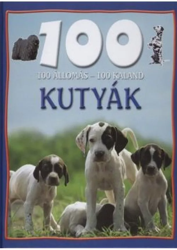 Török Tünde - 100 ÁLLOMÁS - 100 KALAND /KUTYÁK