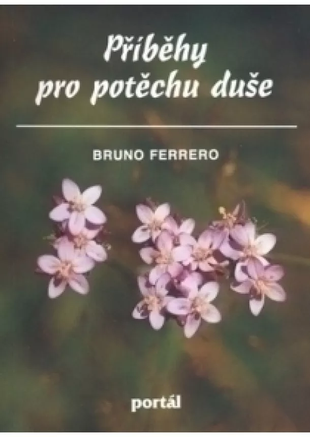 Bruno Ferrero  - Příběhy pro potěchu duše