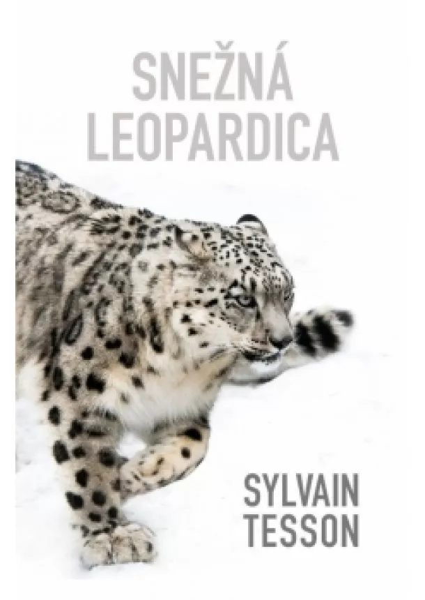 Sylvain Tesson - Snežná leopardica