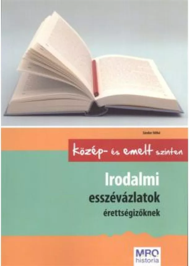 Sándor Ildikó - Irodalmi esszévázlatok érettségizőknek közép- és emelt szinten