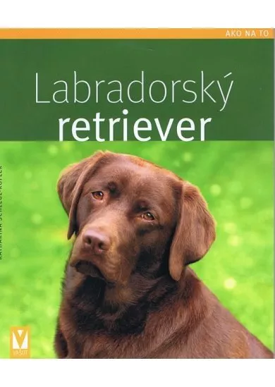 Labradorský retriever