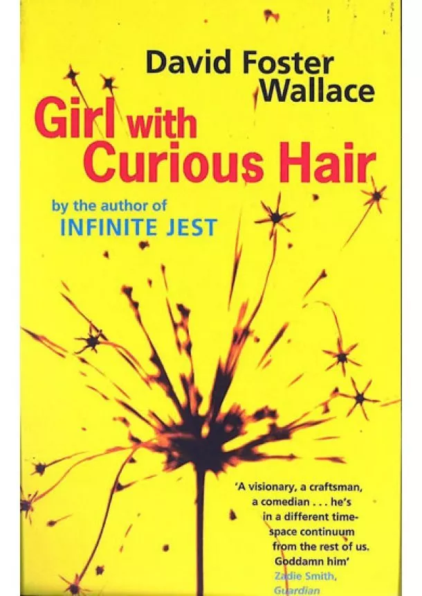 David Foster Wallace - Girl With Curious Hair