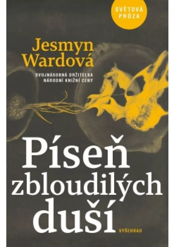 Jesmyn Wardová - Píseň zbloudilých duší