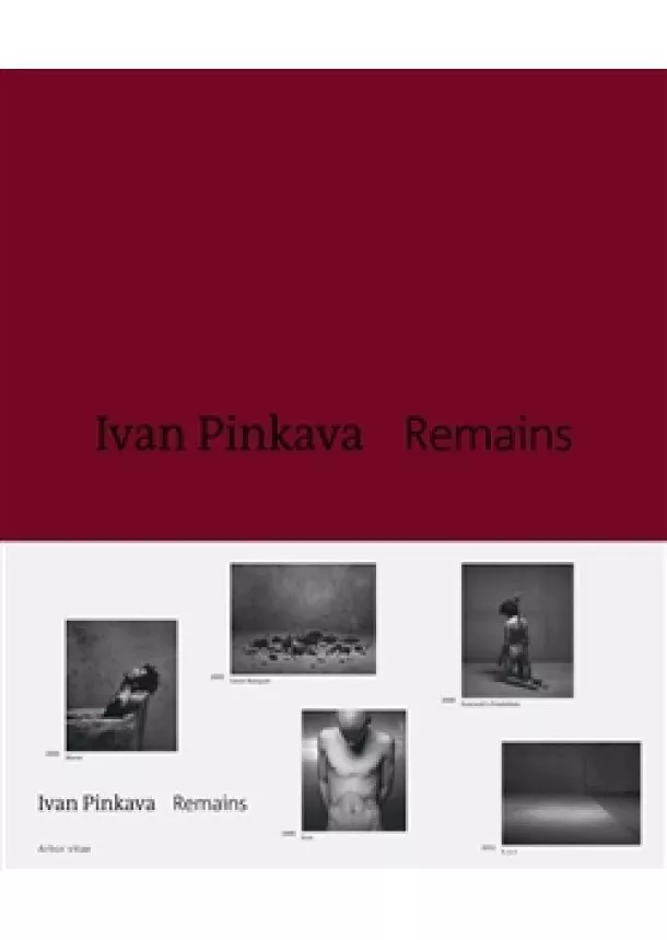 Ivan Pinkava, Petr Vaňous  - Remains