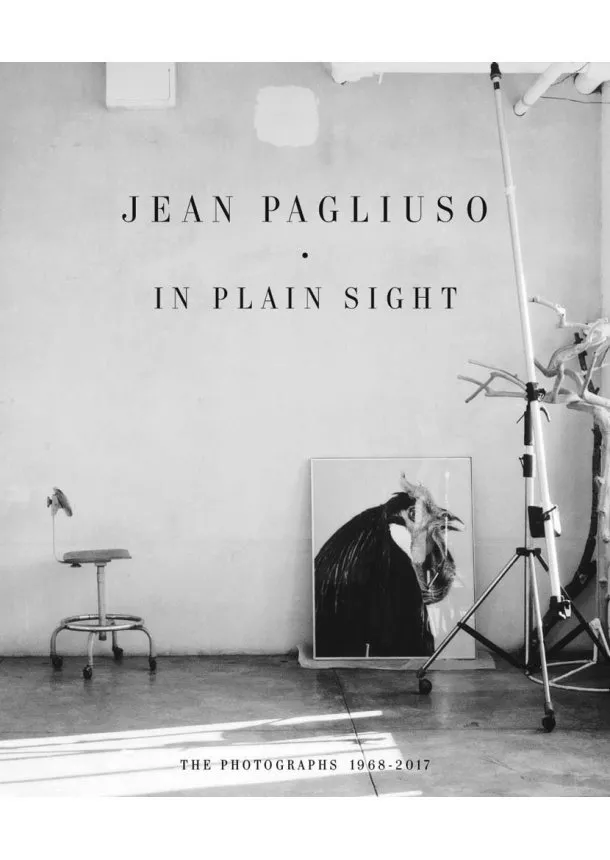 Jean Pagliuso - Jean Pagliuso: In Plain Sight