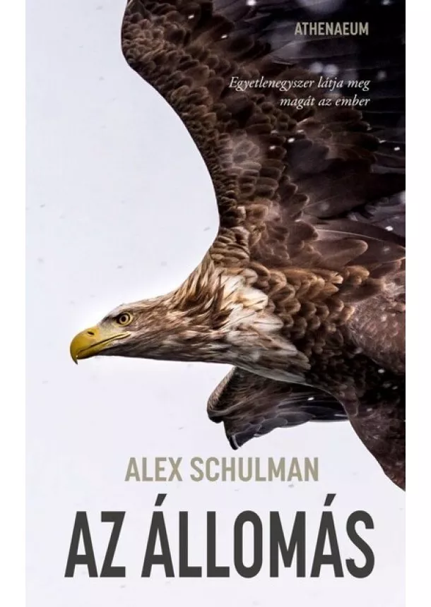 Alex Schulman - Az állomás