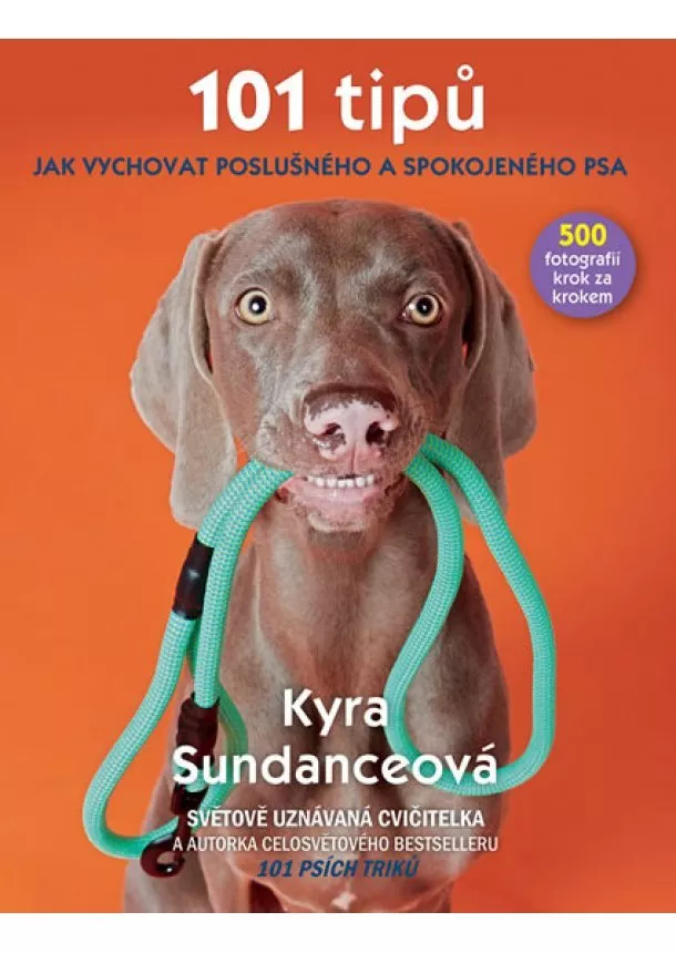 Kyra Sundanceová - 101 tipů jak vychovat poslušného a spokojeného psa