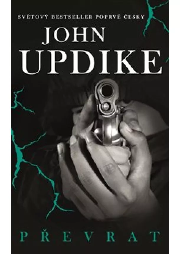 John Updike - Převrat