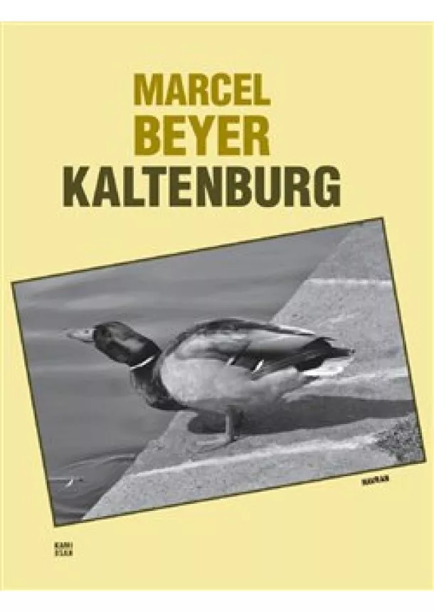 Marcel Beyer - Kaltenburg