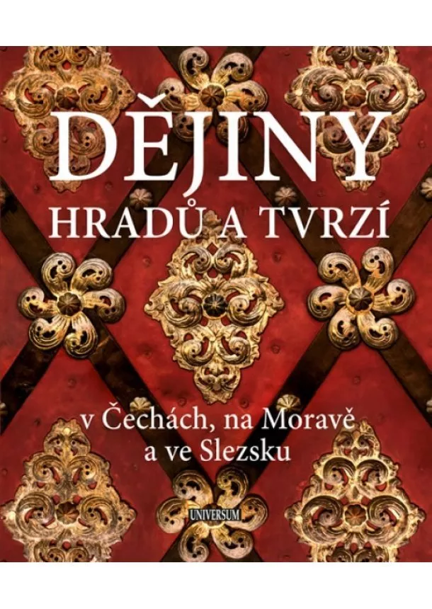 Vladimír Soukup, Petr David - Dějiny hradů a tvrzí v Čechách, na Moravě a ve Slezsku - 2.vydání