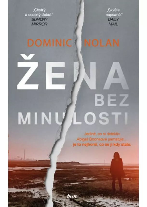 Dominic Nolan - Žena bez minulosti