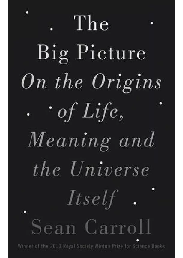 Sean Carroll - The Big Picture