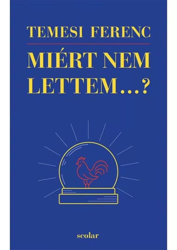 Temesi Ferenc - Miért nem lettem…?