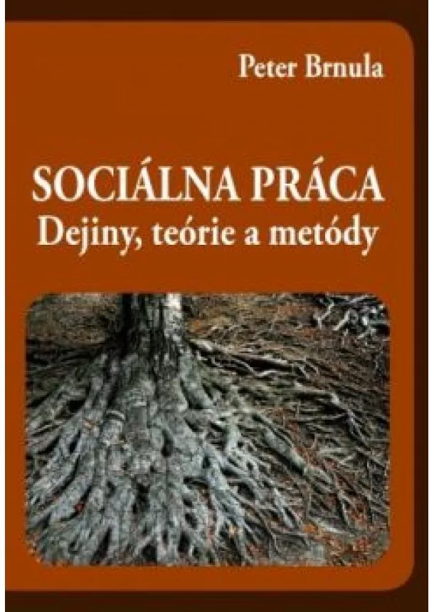 Peter Brnula  - Sociálna práca - Dejiny, teórie a metódy