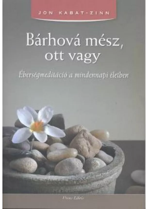 Zinn - Bárhová mész, ott vagy /Éberségmeditáció a mindennapi életben