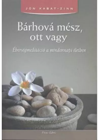 Bárhová mész, ott vagy /Éberségmeditáció a mindennapi életben