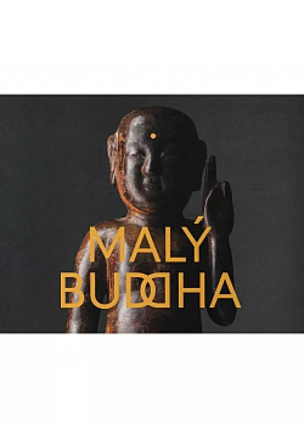 Jana Ryndová - Malý Buddha