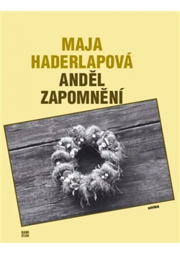 Maja Haderlapová - Anděl zapomnění