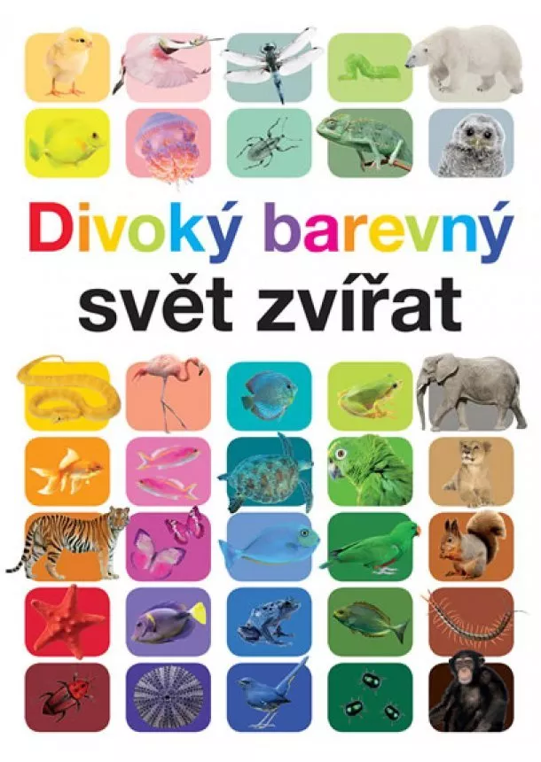 Anita Ganeriová - Divoký barevný svět zvířat