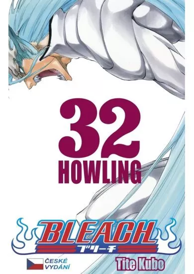 Bleach 32: Howling