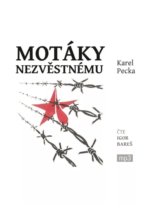 Motáky nezvěstnému - 3 CDmp3